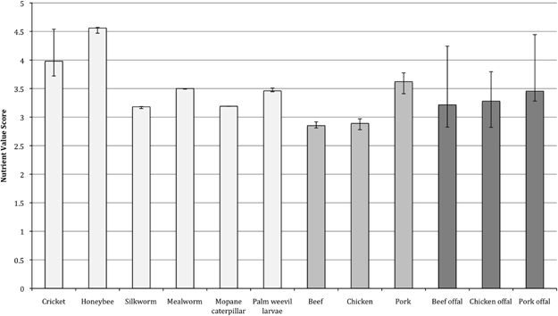Valeur nutritive insectes