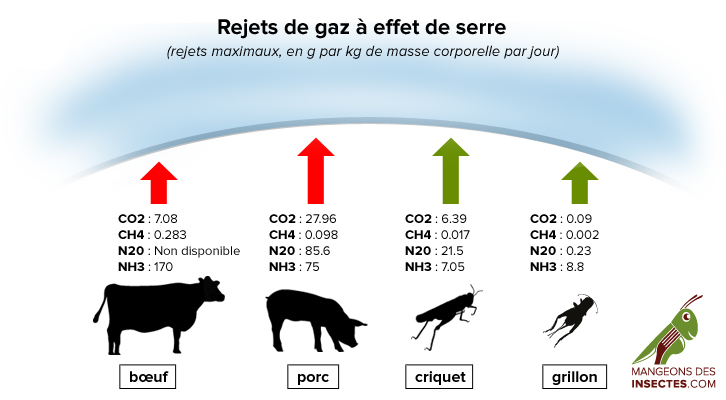 impact-environnemental-max