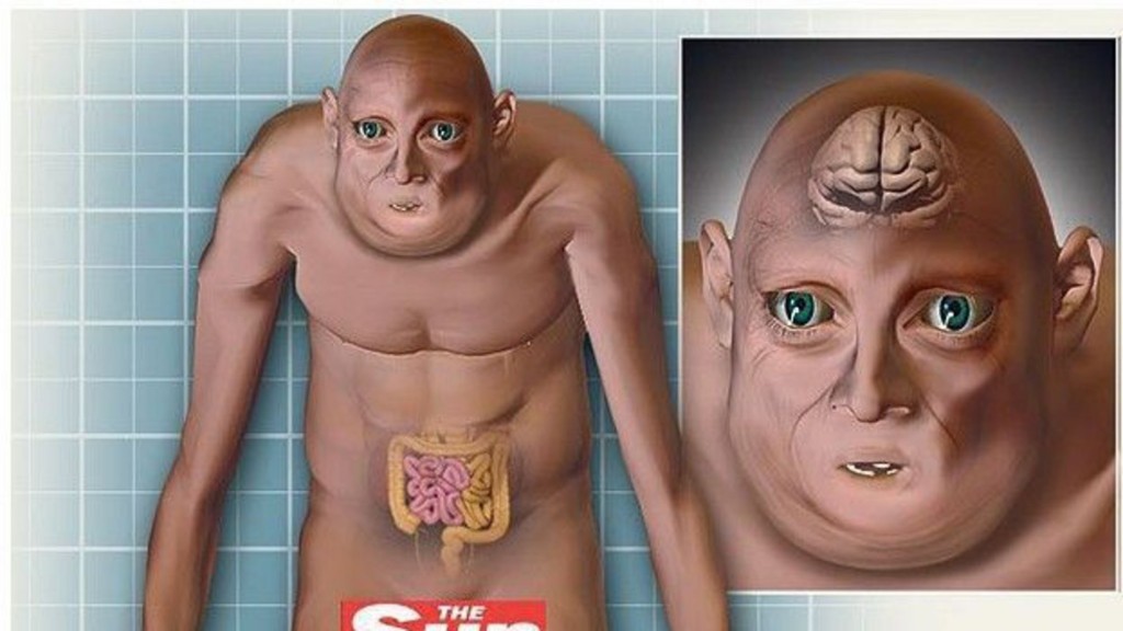 homme an 3000 express