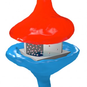 synapse artificielle